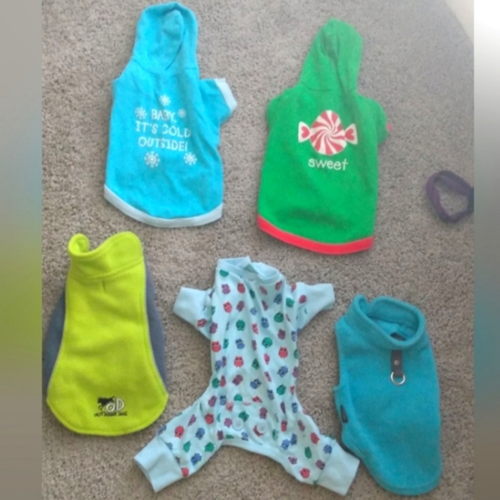 8 Piece Bundle 🐶 Puppy • Small Dog / Cat Fits + Leash & Collar 😺